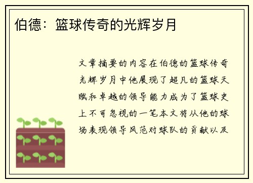 伯德：篮球传奇的光辉岁月